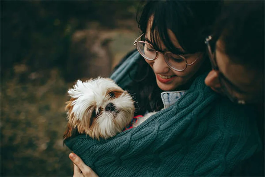 犬に氷はNG？獣医師が教える安全な与え方と注意点4つ